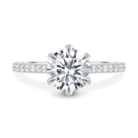 Siobhan - 6 Claw Round Solitaire with Hidden Halo and Collar